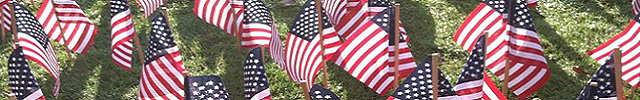 American Flags